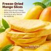 4.2oz Freeze-Dried Mango Slices - 100% Tropical Snack, Crispy Fruit Bites No Sugar Added for Smoothies, Baking & Snacks (120g) view 2