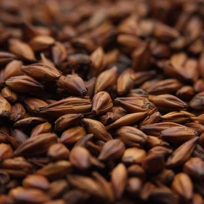 AROMA MALT 10LB Weyermann CARAAROMA Specialty Malt Unmilled Drum Roasted Caramel Barley Malt MWEY7063