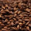 AROMA MALT 10LB Weyermann CARAAROMA Specialty Malt Unmilled Drum Roasted Caramel Barley Malt MWEY7063 view 1
