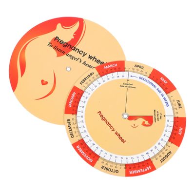 2Pcs Pregnancy Wheel and Fetal Development Chart Color Printed Paper Tracker for Expecting Mothers Detailed Pregnancy Comparison Guide for Growth Stages