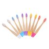 10pcs Toothbrush Colorful Soft Bristle Toothbrushes for Gentle Oral Care Wooden Design for Home Travel Daily Use view 1