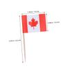 150pcs Mini Canada Flag Toothpicks Vibrant Cupcake Toppers Fruit Picks for Weddings Canada Day Sports Events and Festive Gatherings view 2