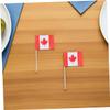 150pcs Mini Canada Flag Toothpicks Vibrant Cupcake Toppers Fruit Picks for Weddings Canada Day Sports Events and Festive Gatherings view 4