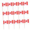 150pcs Canada Flag Toothpicks Double Sided Mini Flags for Cupcakes Appetizers and Cheese Markers for Canada Day Sports Events and Celebrations view 1
