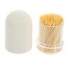 1Set Disposable Toothpick Kit with Holder Natural Dual Head Tooth Cleaners Convenient Pour Out Design for Home Office Kitchen Cafe and Restaurant Use Light Yellow view 1