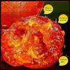 2 flavors Rock sugar dried kumquat,natural dried kumquat candied fruit 500g/can,nutritious preserved fruit snacks,frosted Sweet Orange,dessertsteaDim sum (Sweet kumquat,1 can) view 4
