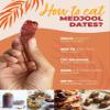 Natural Delights Medjool Dates Pitted - Non-GMO Verified Fruit, Good Source of Fiber & Potassium, Naturally Sweet, Snack for On-The-Go, Large & Plump Dates - 8 oz Pouch (Pack of 2) view 4