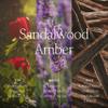 Antica Farmacista Home Ambiance Diffuser - Long-Lasting Reed Scent Diffuser - Luxury Room Freshener Gift - Sandalwood Amber, 16.9 fl oz view 4