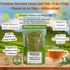 Premium Moronel Loose Leaf Tea 4 oz (113g) Planta de la Vida (Synadenium grantii) Wildcrafted, 100% Natural, Non-GMO Traditional Herbal Wellness Tea Makes 40+ Cups by High Supreme view 4