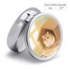 Pill Organizer Small Portable Pill Box Personalized Hamster in Sunlit Corner Print Medication Organizer for Vitamins Supplements view 2