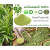 100% Natural Vegetable Powder | No Additives, No Sugar, No Sodium | Conduction Vacuum Dried | Clean Label 200g (Pandan) view 2