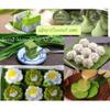 100% Natural Vegetable Powder | No Additives, No Sugar, No Sodium | Conduction Vacuum Dried | Clean Label 200g (Pandan) view 3