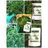 100% Natural Vegetable Powder | No Additives, No Sugar, No Sodium | Conduction Vacuum Dried | Clean Label 200g (KALE) view 2