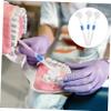COLLBATH 3Pcs Transparent Double Sided Denture Cleaning Brush for False Toothbrush for Denture Wearers Non Slip Handle for Easy Control view 4