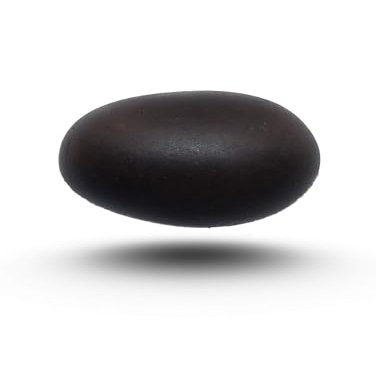 Arwacraft Shaligram Shila | Nepal Gandaki River Saligram Stone | Original Shaligram | Real Shaligram Stone | Shaligram Pathar | 2 Inch (Shila)-B0D1R62YMRNAMZ