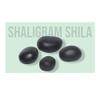 Arwacraft Shaligram Shila | Nepal Gandaki River Saligram Stone | Original Shaligram | Real Shaligram Stone | Shaligram Pathar | 2 Inch (Shila)-B0D1R62YMRNAMZ view 3