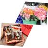 NOLITOY 1Roll Clear Cellophane Wrap Transparent Packing Film for Flowers Crafts Opp Material for Professional Wrapping for Baskets Presents view 3