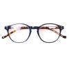 NORPERWIS 5 Pairs Reading Glasses - Standard Fit Spring Hinge Readers Glasses for Men and Women (5 Pack Blue/Tortoise-2, 3.00) view 3