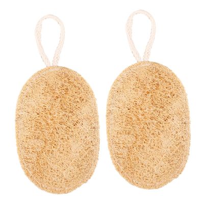 PACKOVE 2pcs Thickened Loofah Scrubber Sponge for Kitchen Cleaning Dishwashing Sponge Suitable for Dish Types