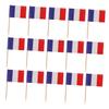 300pcs Flag Toothpicks Wooden Paper Picks for Events and Bars view 1