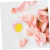BESTYASH 6Pcs Replacement Pads for Electric Nail Buffer Safe Grooming for Newborns Design Easy to Replace Pink Color view 4