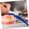 DEARMAMY 4pcs Double Sided Denture Brushes for Elderly Travel Denture Cleaning Tool Soft Bristles Suitable for Daily Oral Care and Braces Maintenance view 4