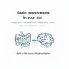 GutBrain Brain Supplement for Memory and Focus with Probiotics, Advanced 2 in 1 Nootropic Brain Support for Mental Clarity, Caffeine Free Doctor Formulated Supplement, 60 Capsules view 2