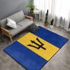 100% BLUE COLLAR Washable Entry Rug Barbados Flag Soft Absorbent Indoor Door Mat Kitchen Mat for Bathroom Floor, Tub, Shower view 2