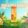10g Protein Frozen Popsicles Lemon, Pineapple Mango & Variety Pack Low Sugar, Gluten-Free Protein Pops 8 Count Healthy Frozen Snack & Dessert for Kids & Adults. (Pineapple Mango) view 2