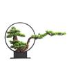 AFPSDLFJDLS Bonsai Luohan Pine Green Plant Porch Floor Sales Office Villa Model Room Decoration view 1