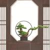 AFPSDLFJDLS Bonsai Luohan Pine Green Plant Porch Floor Sales Office Villa Model Room Decoration view 4