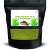 RG Sirukurinjan Powder | | Gurmar | Gymnema Sylvestre | Podapatri | Gudmar | Madhunashini-25 GMS view 1