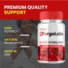 (2 Pack) Forge Labs Blood Stabilizer - ForgeLabs Capsules Blood Support Supplement Advanced Balance Formula, Blood Stabilizer Pills Max High Strength Potent Pressure Blend Health Circulation (120 Ct) view 2