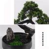 AFPSDLFJDLS Chinese Welcome Pine Bonsai Green Plant Living Room Hotel Home Entrance Decoration and Decorations view 3
