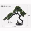 AFPSDLFJDLS Chinese Welcome Pine Bonsai Green Plant Living Room Hotel Home Entrance Decoration and Decorations view 4