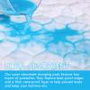 Tohetsuzp Twin Size Bed Pads - 34"X36" Washable Waterproof Mattress Protector Underpads, Reusable Tuckable Incontinence Bed Pads for Adults Kids with 21" Wings view 2