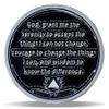 10 Year Panda Skull Sunflower Sobriety Coin Burning Brighter NA Medallion Spiritual Token for Recovery & Clean Time NA AA Chips Gift for Men & Women view 2