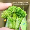 Crispy broccoli with salt and pepper flavor, fresh broccoli, freeze-dried vegetable snacks 50g/bag, healthy fruit and vegetable crisps, nutritious vegetarian snack gift packs, substitute food (4 bags) view 4