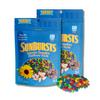 SunBursts Regular Mix - Pack of 2 - Candy Coated, Chocolate Covered Sunflower Seeds - 7.4oz. Resealable Bags By Lyza's Sweets & Treats view 1