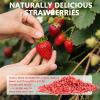 Freeze Dried Strawberries Pieces, Frozen Strawberries, 230G/8.11OZ Frozen Fruit, Freeze Dried Fruit, 100% Natural for Beverages, Yogurt, Salad, Smoothie and Baking view 3