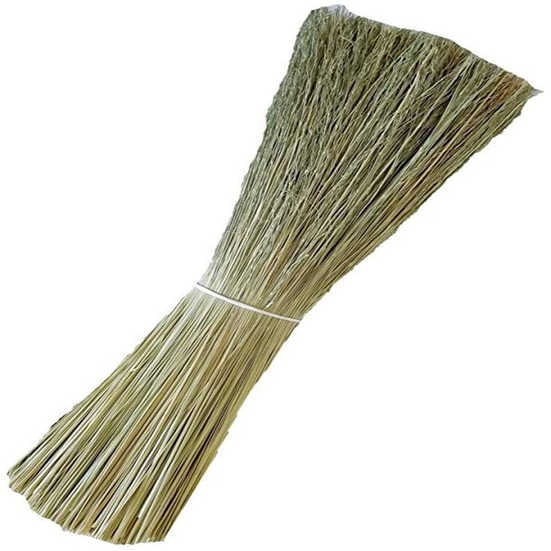 1 Pound Natural Broomcorn, Hand Dyed and Dried, Broom Straw, Broom Corn and Hurl, Make Your own Broom & Witch Crafts (Teal)