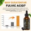 2000 MG Liposomal Fulvic Acid + Humic Acid + Trace Minerals Complex - More Potent Than Shilajit, Electrolytes Liquid Supplement with Organic Kale for Energy, Digestion, Immunity & pH Balance, 8 Oz view 4