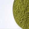 Broccoli Microgreen Powder Organic | Freeze-Dried for Freshness | Miron Violet Glass 0.88 OZ (25g) | Pure, Raw, Vegan & Gluten-Free | Small-Batch, Plant-Based Powder from Switzerland view 3