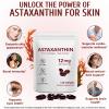 2 Pack Astaxanthin 12mg, Premium Astaxanthin Antioxidant Supplements with Antioxidant Activity, Supports Eye, Immune, Skin Health, Internal Circulation view 2