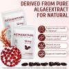 2 Pack Astaxanthin 12mg, Premium Astaxanthin Antioxidant Supplements with Antioxidant Activity, Supports Eye, Immune, Skin Health, Internal Circulation view 4
