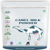 hyd Came.l Mil.k P.owder | Freeze Dried, Gluten Free, No Additives, No Preservatives - 100 GM by B Naturall view 1