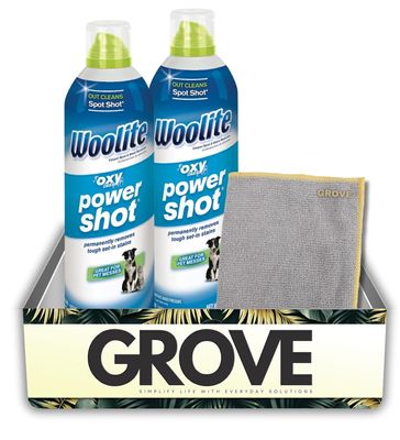 Woolite Carpet Care Kit Carpet Cleaner for Home & Pet Stain Care