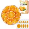 Dried Orange Slices for Cocktails 5.29oz Dehydrated Orange Slices, 6g 7cm Large Center-Cut Dried Citrus Slice Garnish for Cocktails, Crafts, Tea, Baking & Decorations, 26 Individually Wrapped view 1
