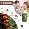 180g/2packOrganic Mushroom Matcha Latte Mix - Premium Japanese Matcha & 12 Superfoods for Brain Function, Digestion & Natural Energy, Instant Coffee, Latte Powder, Coffee Alternative view 3