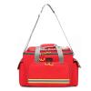 Portable Professional First Aid Kit, Waterproof Oxford Cloth Medical Insulation Refrigerated Storage Bag, Vaccine Plasma Transport Handbag(Red,Small) view 1